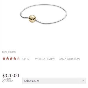 14kt Gold & Silver Pandora Essence  Bracelet